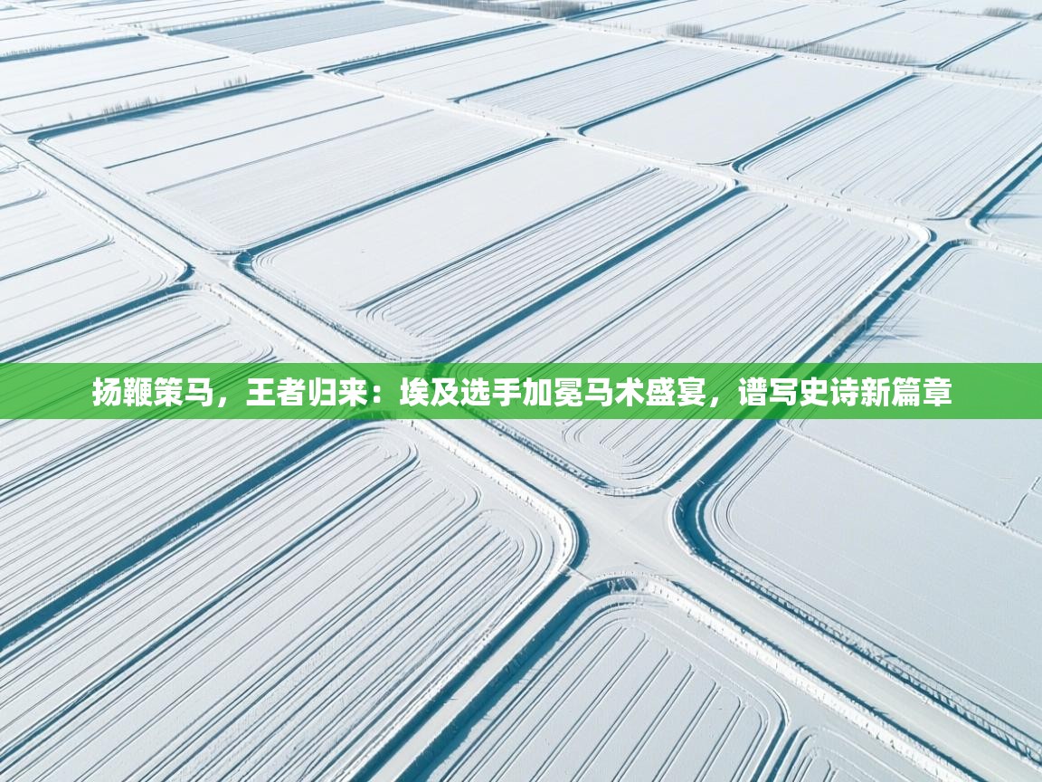 扬鞭策马，王者归来：埃及选手加冕马术盛宴，谱写史诗新篇章  第1张