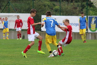 爱游戏app-“福乐球决战开启,新都香城体育中心见证精彩” 第2张